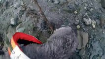 Dog rescued by helicopter after massive landslide sweeps homes into sea in Norway