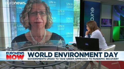 Παγκόσμια Ημέρα Περιβάλλοντος