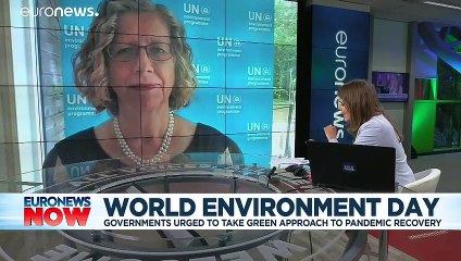 Jane Goodall: "a természet kizsákmányolása engedett utat a járványnak"