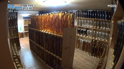 부부의 집 안을 가득 채운 약초들의 장관