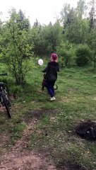 Dog Plays with a Balloon