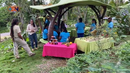 mqn-Artesanas del bosque sueñan con una oruga gigante-050620