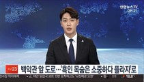 백악관 앞 도로…'흑인 목숨은 소중하다 플라자'로