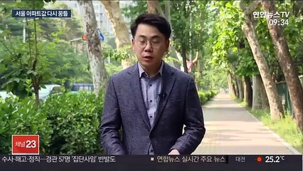 서울 도심 개발에 집값도 '들썩'…"투기 단속"