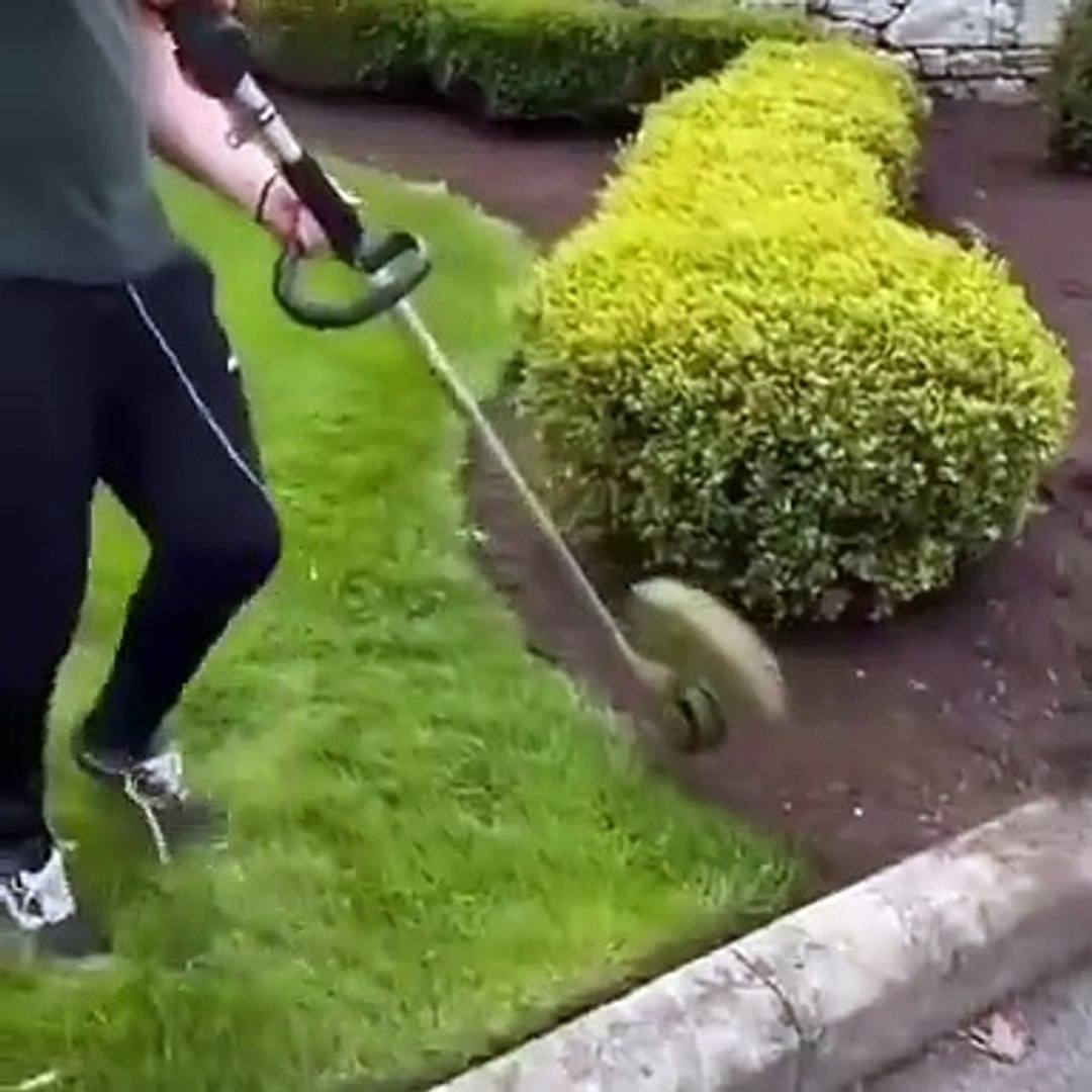 Рай для перфекциониста