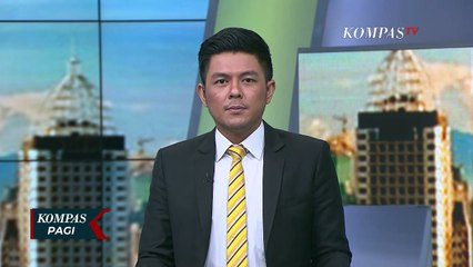 Induk dan Anak Beruang Madu Masuki Permukiman Warga di Riau!