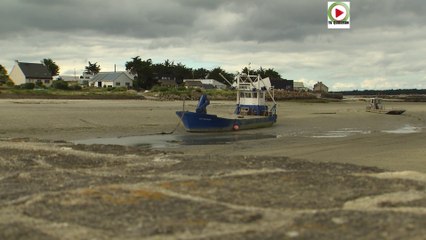 Carnac  | Repos de l'Anse du Pô - Bretagne Télé
