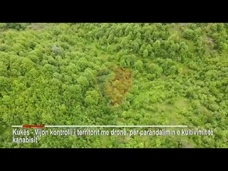 Report TV -Kontroll me dron në veri për kanabis, zbulohet një rast në Tropojë