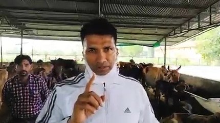 शिवराज सरकार ने गोलियां चलाकर किसानों का किया था बेरहम कत्ल