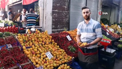 Malatya Kayısısı Tezgahlara Geldi