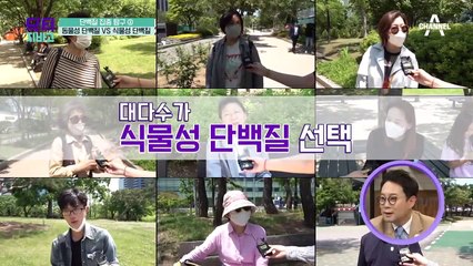 ▣단백질 집중탐구▣ 동물성 단백질 vs 식물성 단백질, 무엇이 더 몸에 건강할까?