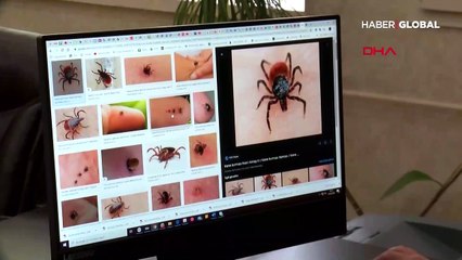 Kene vakalarındaki artışa koronavirüs etkisi