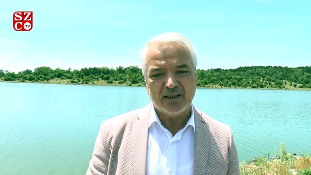 Manisa'daki 'özgür inekler', drone ile böyle görüntülendi