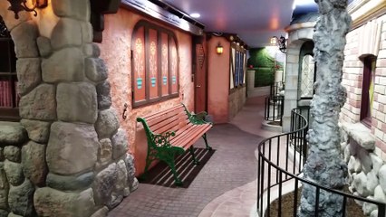 Man Recreates Disneyland in His Basement