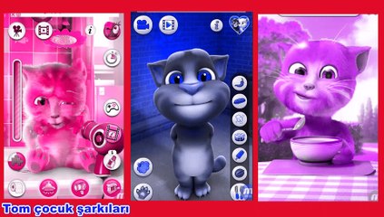 Kedilerin rengli dünyası, ingilizce çocuk şarkısı