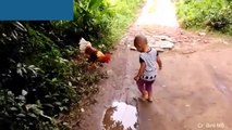 Funny Roosters chasing kids , funniest animals 