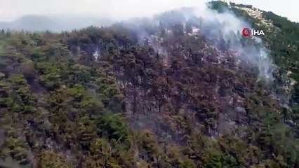 Muğla Milas’ta orman yangını