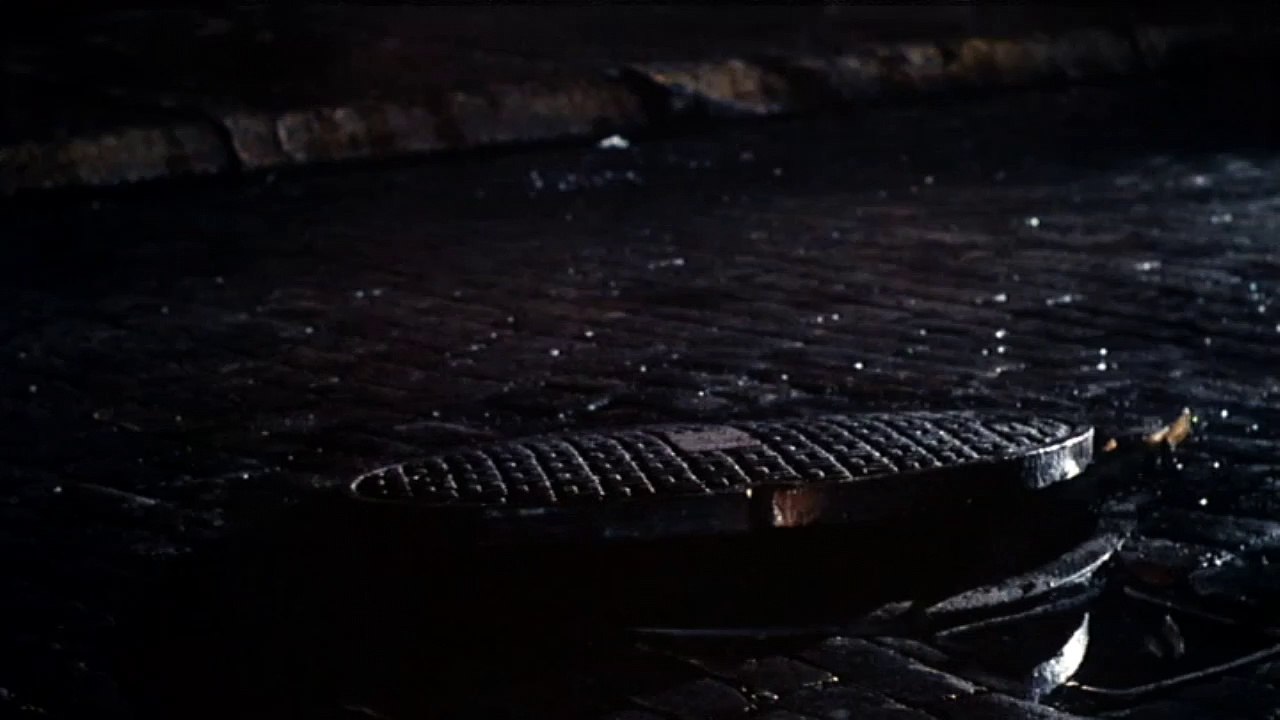 Trump CHUD - you the racist!