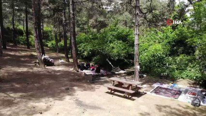Yasağın kalkmasıyla vatandaşlar piknik alanlarına akın etti