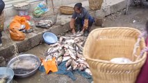 Regional market at a Chinese village near Dali (Yunnan province)