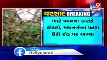 Trees uprooted as Dholka witnesses heavy rains & strong winds