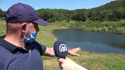 Gemlik'te 11 yıl önce kuruyan göl canlandı