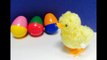 Easter Hopping Chick Wind-up Toy Suprise Bunny Eggs-