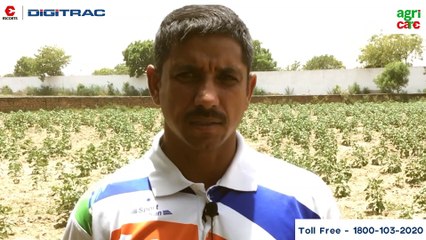 क्या आप जानते है कपास की फसल से जुड़ी ये महत्वपूर्ण जानकारी?