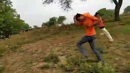 क्षेत्र में फिर टिडी दल का प्रकोप प्रशासन अलर्ट