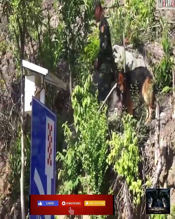 Lãnh đạo công an thị sát nơi phạm nhân trốn trại ẩn náu - PLO