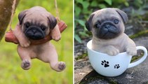 Top Cute Baby Bulldog Videos - Funny and Cute French Bulldog Puppies 2019 #122 _ Dogs Awesome
