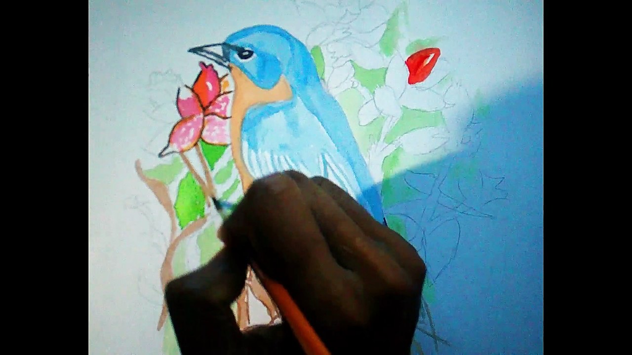 bird draw watercolour (Artist Md Niloy Ahmed)