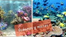 AMBIENTES ACUÁTICOS, AEROTERRESTRES Y DE TRANSICIÓN.