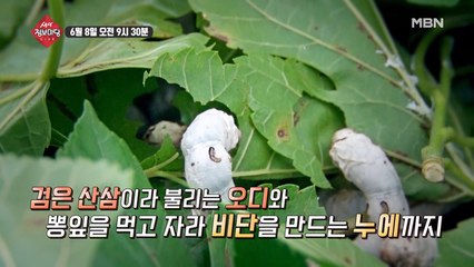 생생 정보마당 [648회] - 유쾌한 월요일