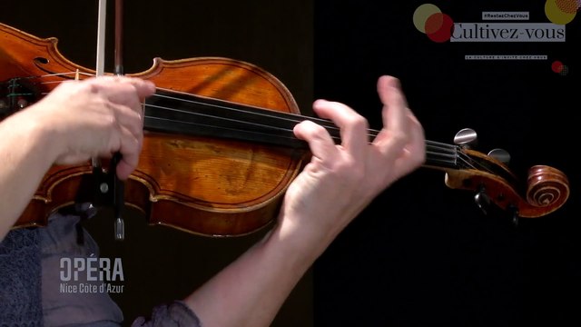 Vera Novakova Solo du Lac de cygnes de Tchaïkovski