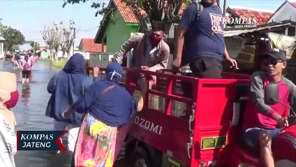 Banjir Rob Makin Tinggi, Warga Slamaran Terpaksa Mengungsi