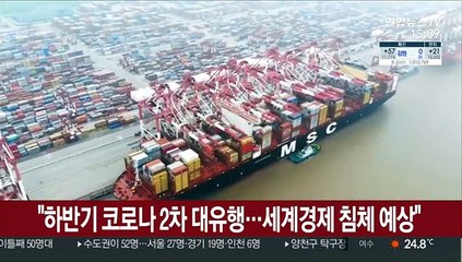 "하반기 코로나 2차 대유행…세계 경제 침체 예상"