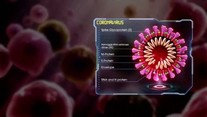 Unsung Corona Warriors - The Firefighters