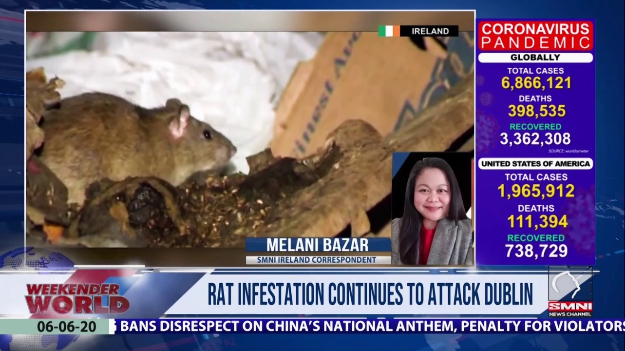 Rat infestation continues to attack Dublin