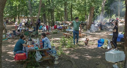 Belgrad Ormanı tıklım tıklım doldu… Uzun araç kuyrukları oluştu