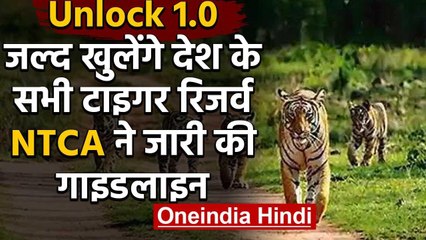 Unlock 1.0: Tiger Reserve को खोलने की तैयारी, NTCA ने जारी की गाइडलाइन | वनइंडिया हिंदी