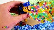 Pj Masks & Paw Patrol Surprise Toys, Learn Colors with Balls Beads