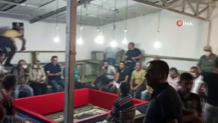 Çatı katını stada çevirip horoz dövüştürürken yakalandılar