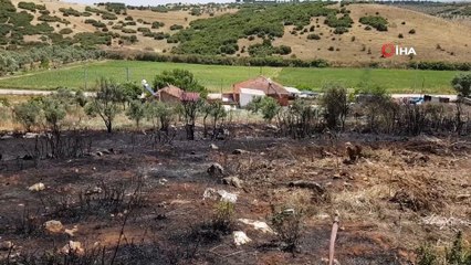 İzmir'de makilik alanda korkutan yangın
