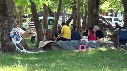 Kısıtlama bitti binlerce Bursalı pikniğe akın etti