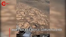 İlk kez böyle görüntülendi!