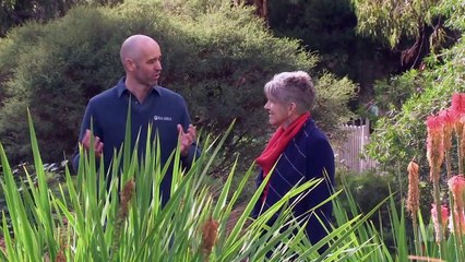 Gardening Australia episode 18 2020