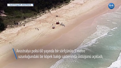 60 Yaşındaki Sörfçü Köpek Balığı Saldırısında Öldü