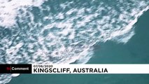 Tubarão branco mata surfista na Austrália