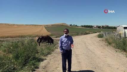 Askere giden gencin korona taşıdığı belirlendi, mahalle karantinaya alındı